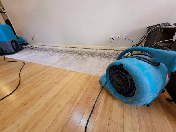 Professional Structural Drying technician working in Harrison, MI